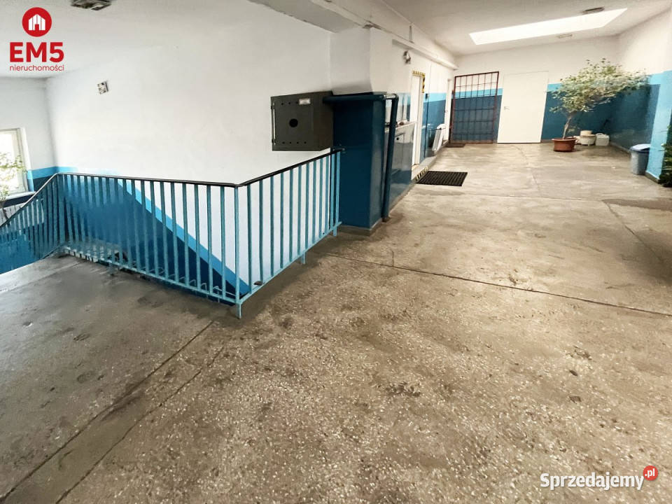 wynajmu lokalu Białystok 450m2 podlaskie