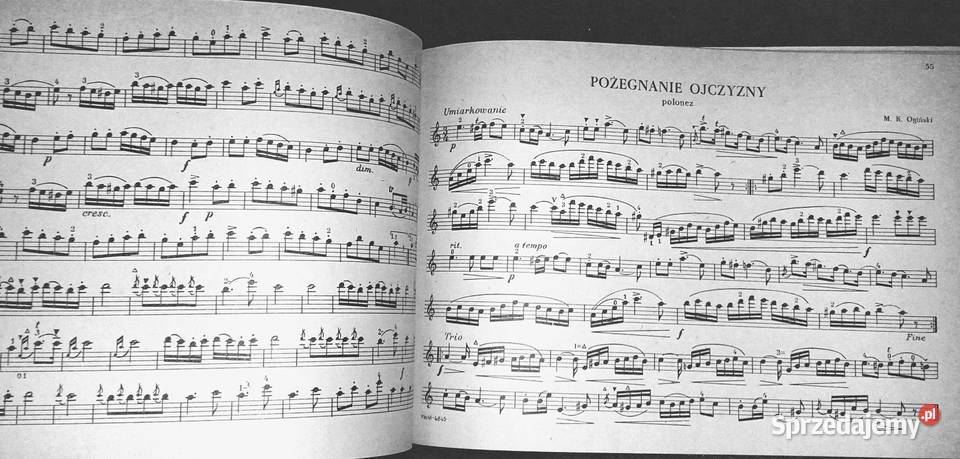 100 ulubionych utworów na mandolinę skrzypce T Chełm