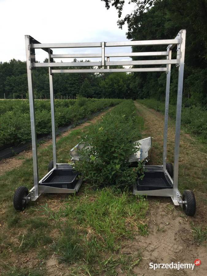 Wózek do zbioru jagody mazowieckie Ostrołęka
