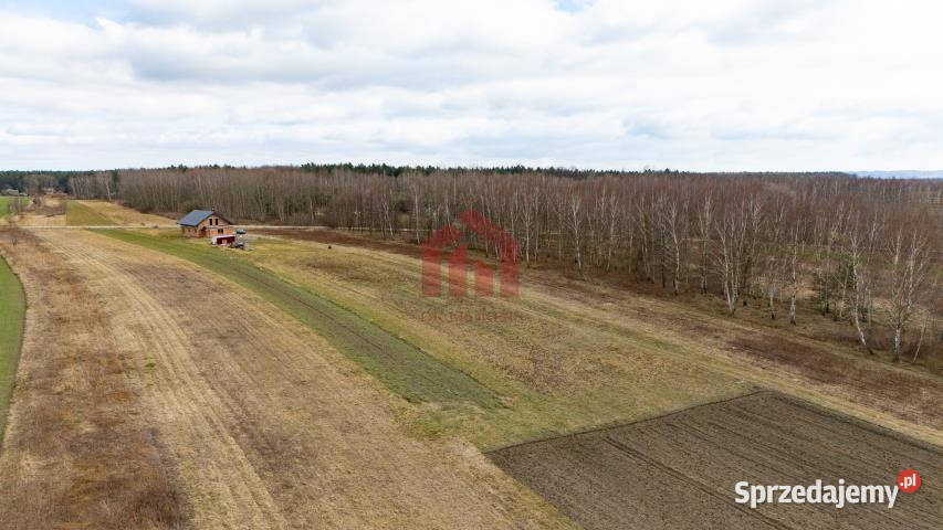 sprzedaży gruntu 2300m2 Krzywa budowlana Nieruchomości