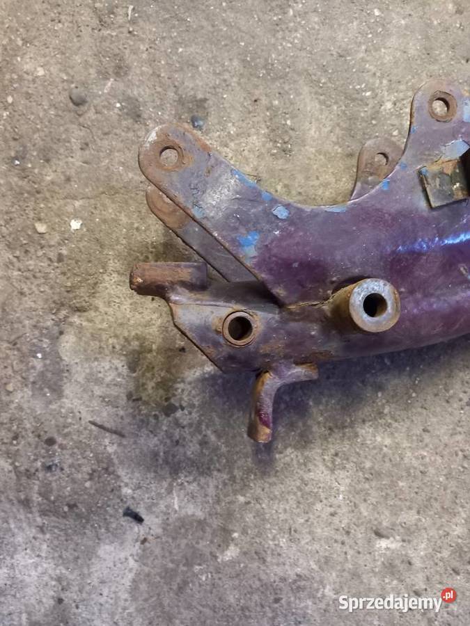 Rama komar sztywniak Sokołów Podlaski