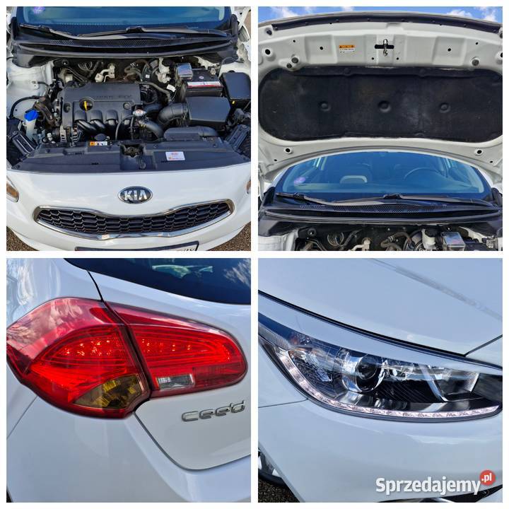 14 benz GPS kamera skóra gwarancja serw ASO stan isofix Cee'd Kraków