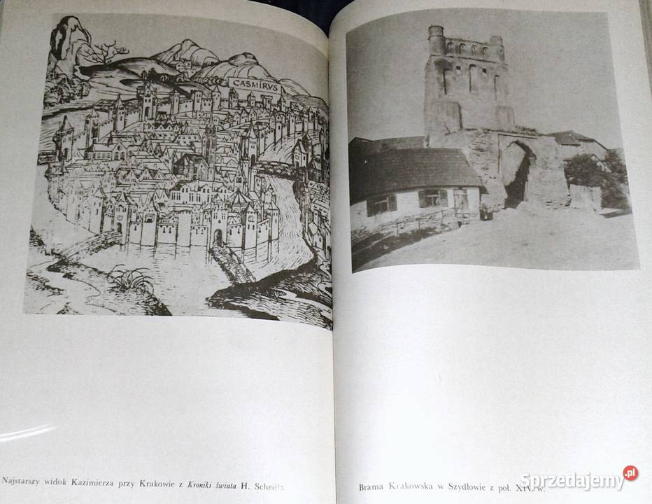 Kazimierz Wielki Jerzy Wyrozumski lubelskie