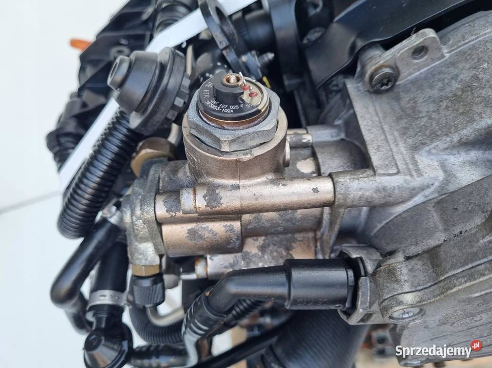 SILNIK KOMPLET Seat Altea 20 TFSI T TURBO ładna osobowe Rudka