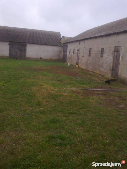 Dom i budynki gospodarcze SPRZEDAM do zamieszkania Klonowo