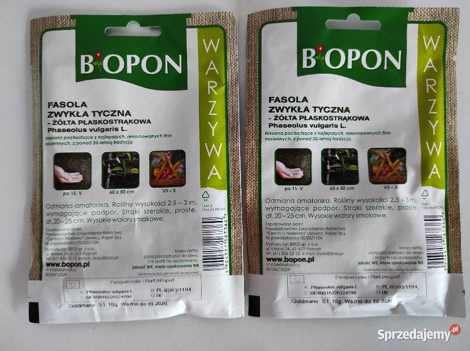 Nasiona różne fasola X2 dynia oberżyna brokuł Płock