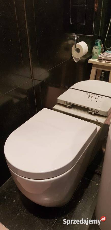 Serwis spłuczek w zabudowie Geberit Koło