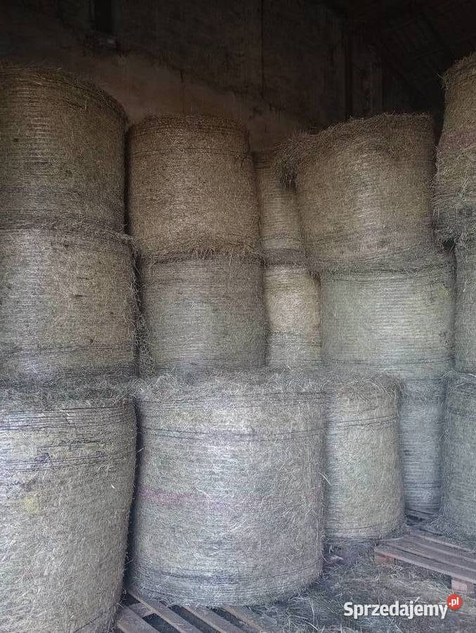 Siano pierwszy i drugi pokos Ozorków sprzedam