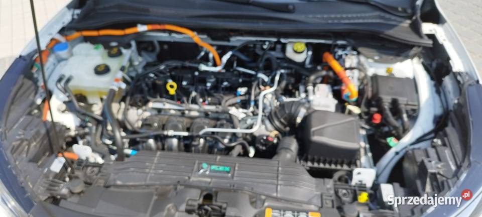 Ford Escape stline 25 hybryd 4wd 8 przebieg Kęty