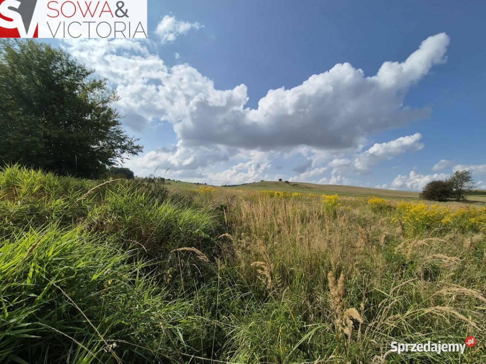Działka w Strudze bez zabudowań w sąsiedztwie Struga