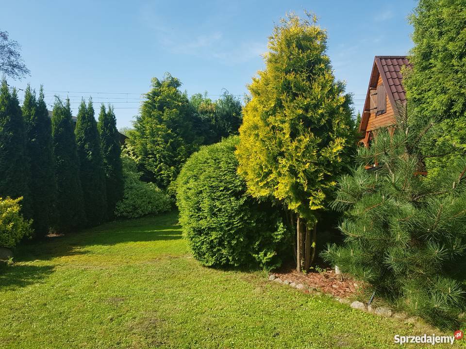 Działka rekreacyjna ROD Poznań Krzesiny sprzedam