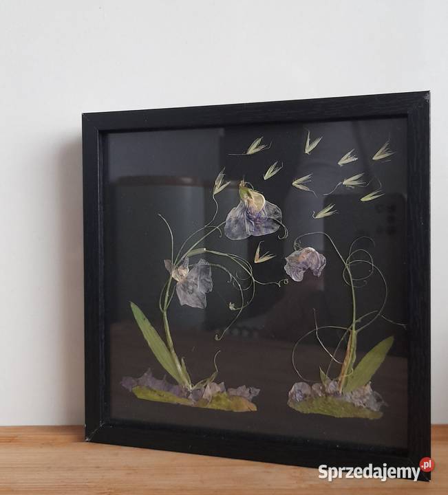 Obraz Kwiatowy Kompozycja Groszki Dekoracja Domu