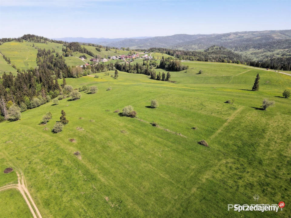 Działka Łapszanka 30600m2 utwardzona