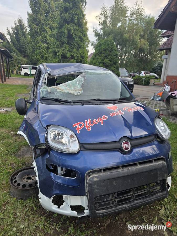 Fiat Panda 10 71 2023r manualna Panda Zgorzelec