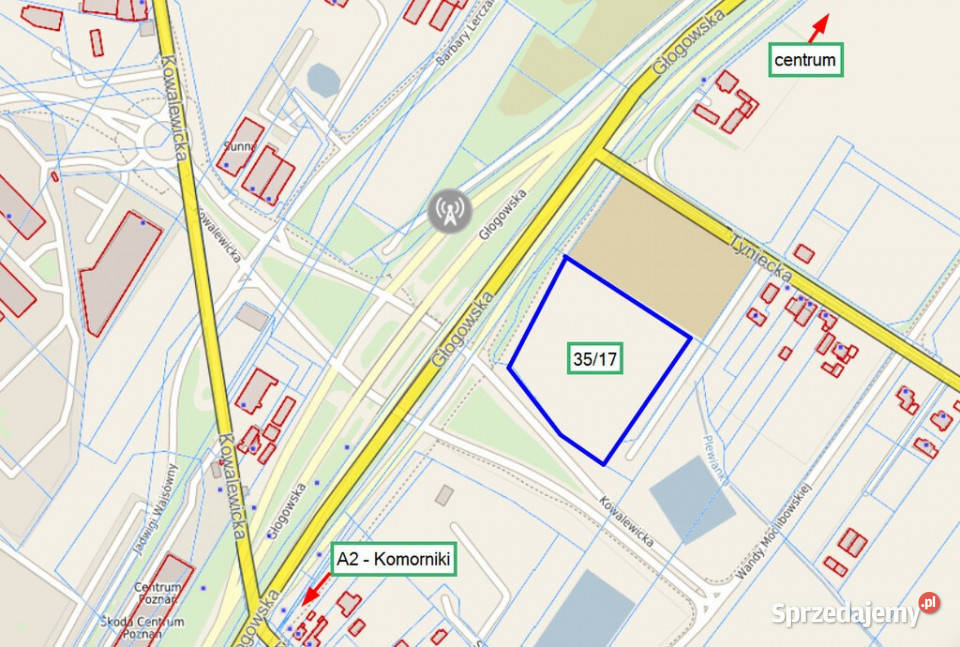 Duża działka usługowa Poznań wielkopolskie