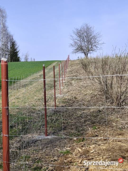 Siedlisko działka 2700m2 dom murowany Kępa
