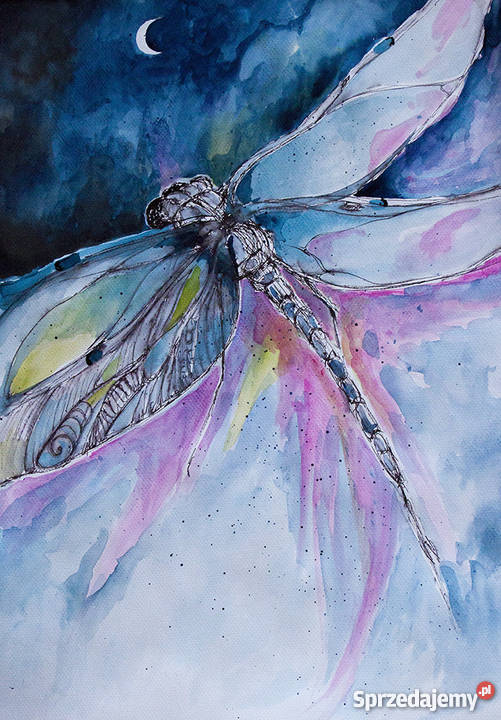 Grafika akwarelą i piórkiem Ważka artystki