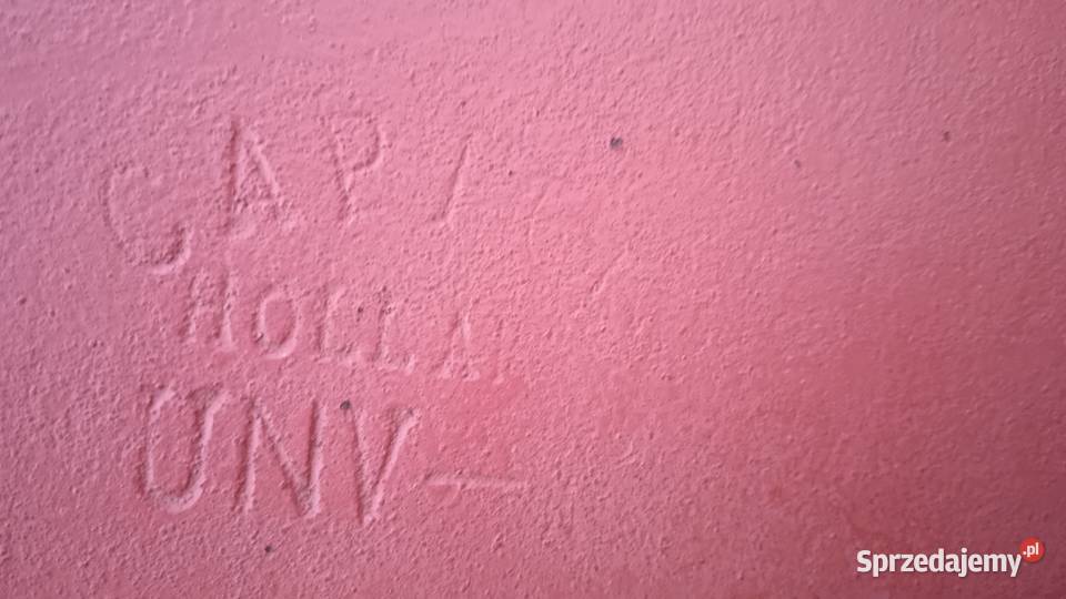 Pług obrotowy Cappon UNV uszkodzony na części Lublin sprzedam