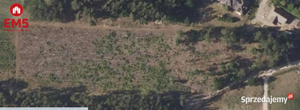 sprzedaży gruntu 6000m2 Skrybicze podlaskie sprzedam
