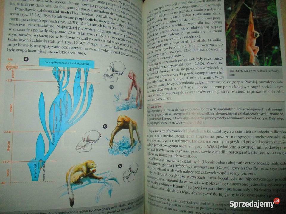 Biologia 3Liceum ogólnokształcące podręcznik sprzedam