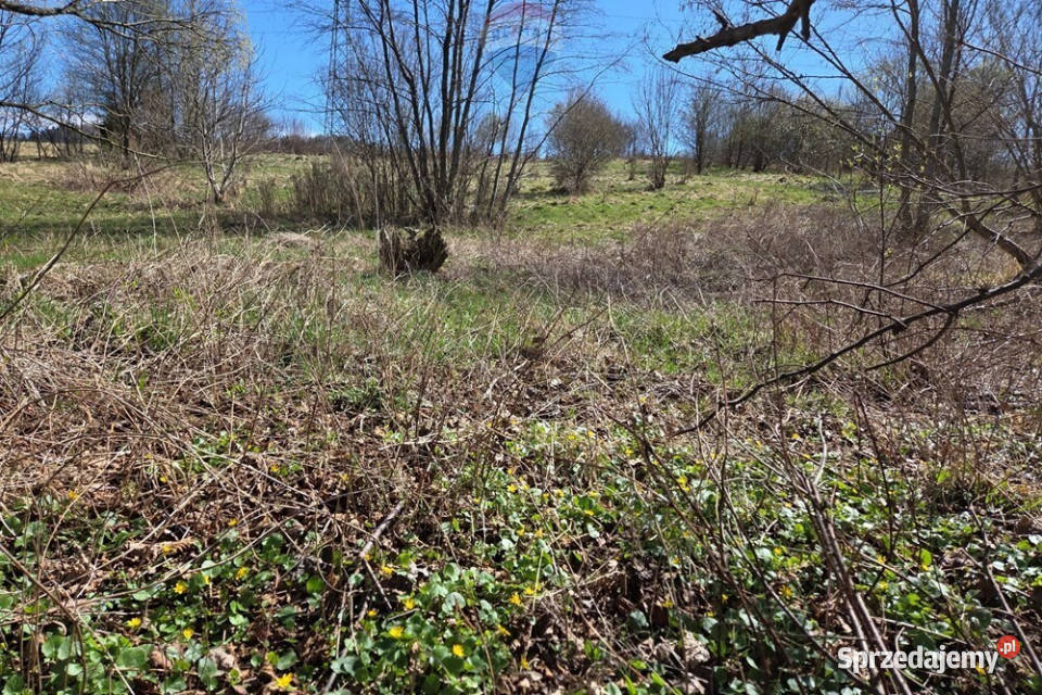 Działka budowlana w miejscowości Trzebinia