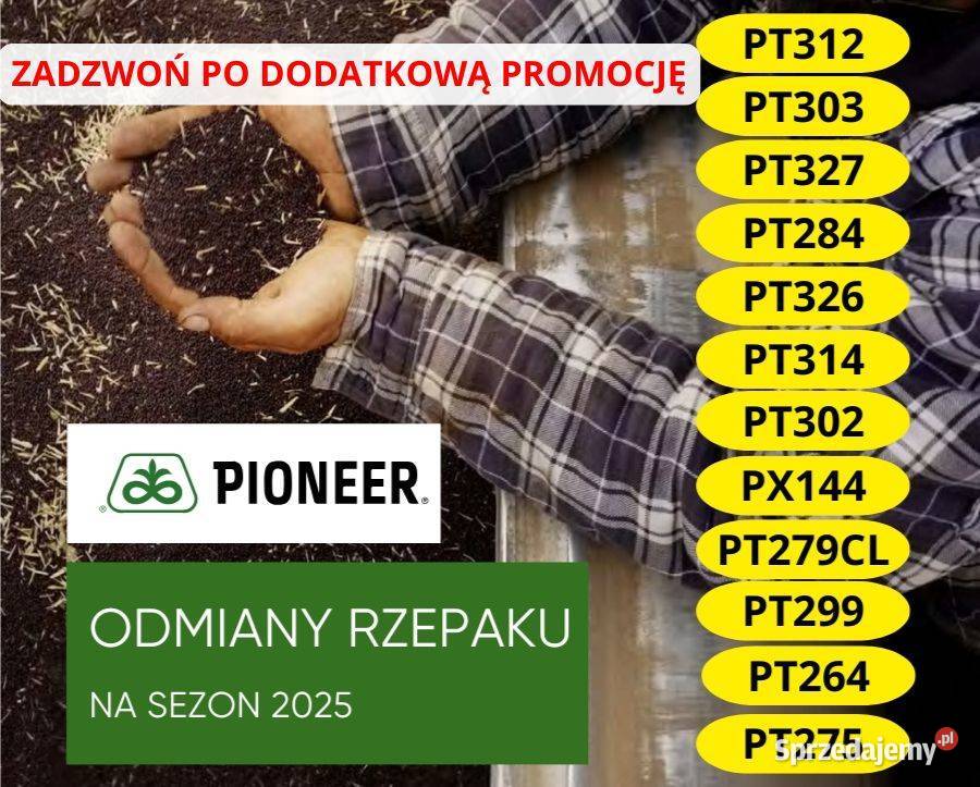 Nasiona rzepaku Pioneer PX144 promocja 51 Kiszkowo sprzedam