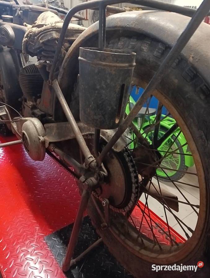 Sprzedam terrot h Gostycyn