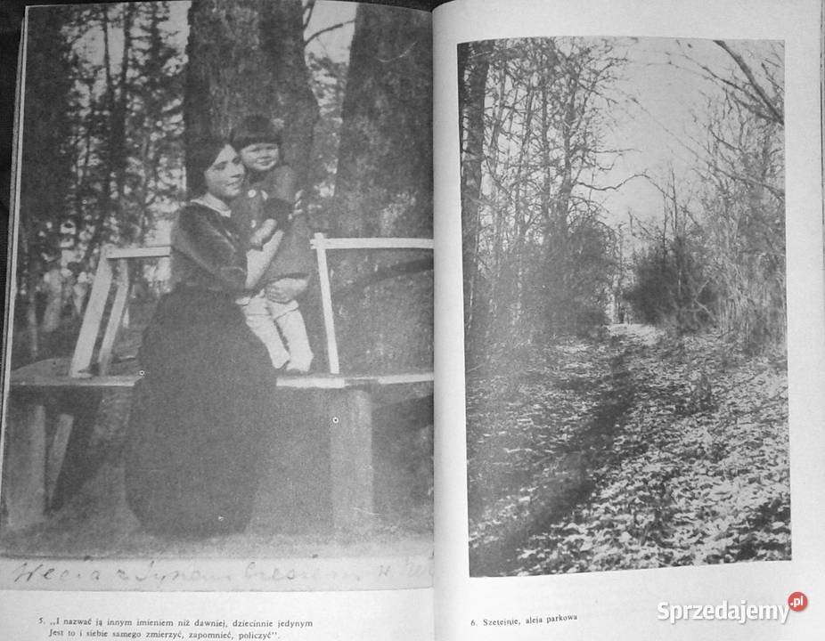 Rozmowy z Czesławem Miłoszem Aleksander Fiut miękka Chełm sprzedam