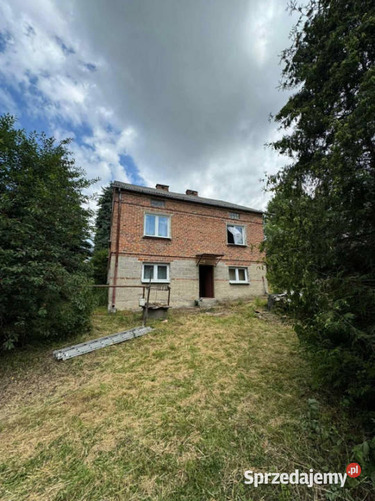 Dom w Trzcianie Sprzedaż Trzciana