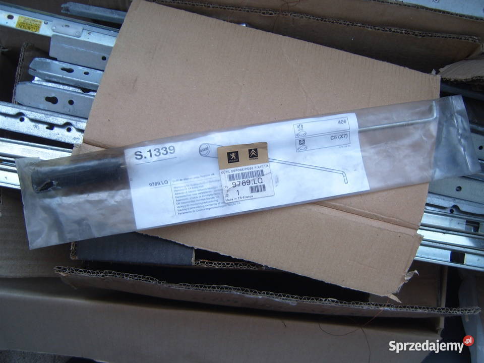 9769LQ peugeot PSA citroen S1339 pecial service