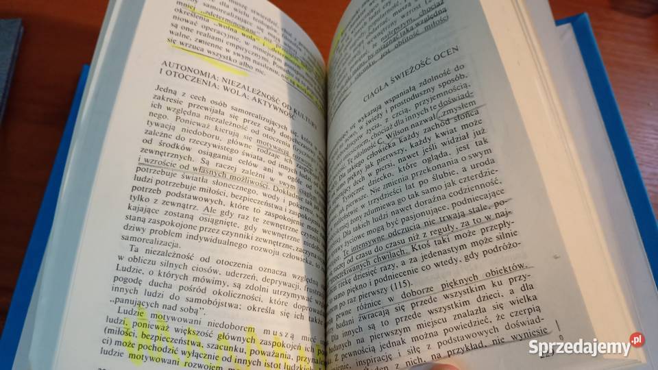 Motywacja i osobowość Abraham H Maslow przeł Rok wydania 1990 pomorskie Gdańsk