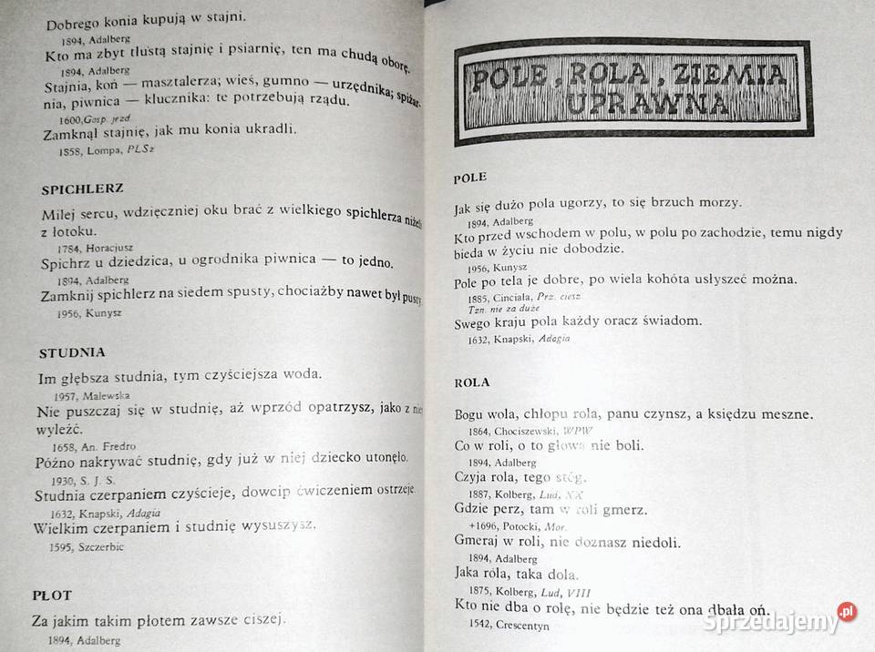 płaci traci Stanisław Świrko Chełm