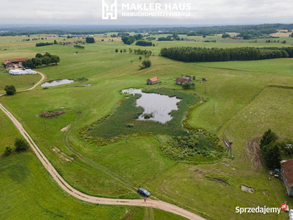 Siedlisko 4 ha ze stawem Puszcza Borecka Mazury