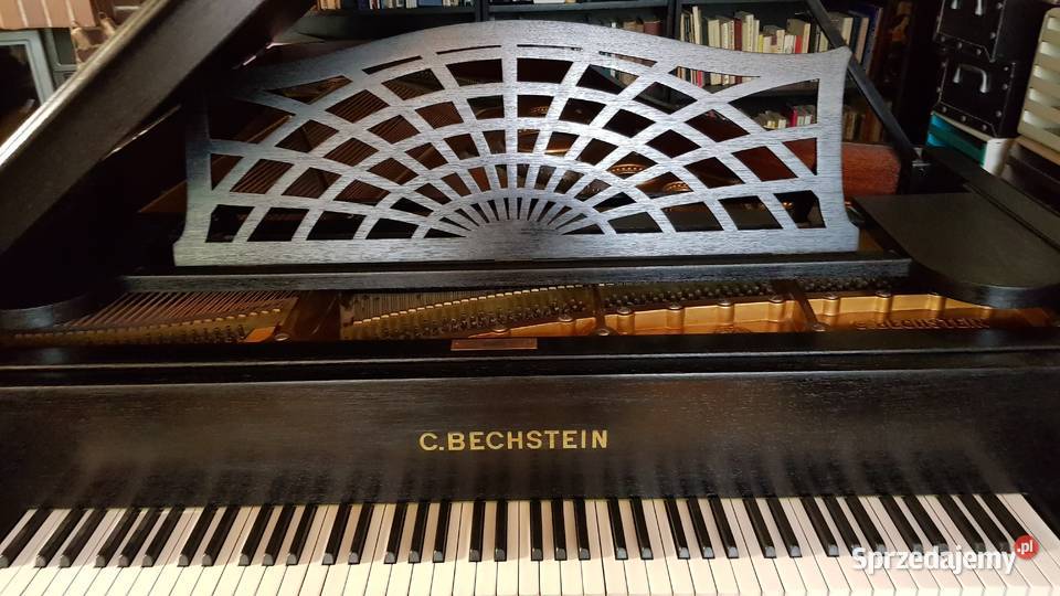 fortepian Bechstein Model B 203 zachodniopomorskie