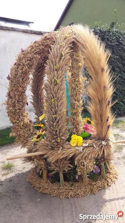 Wieniec Dożynkowy 2017 Konin