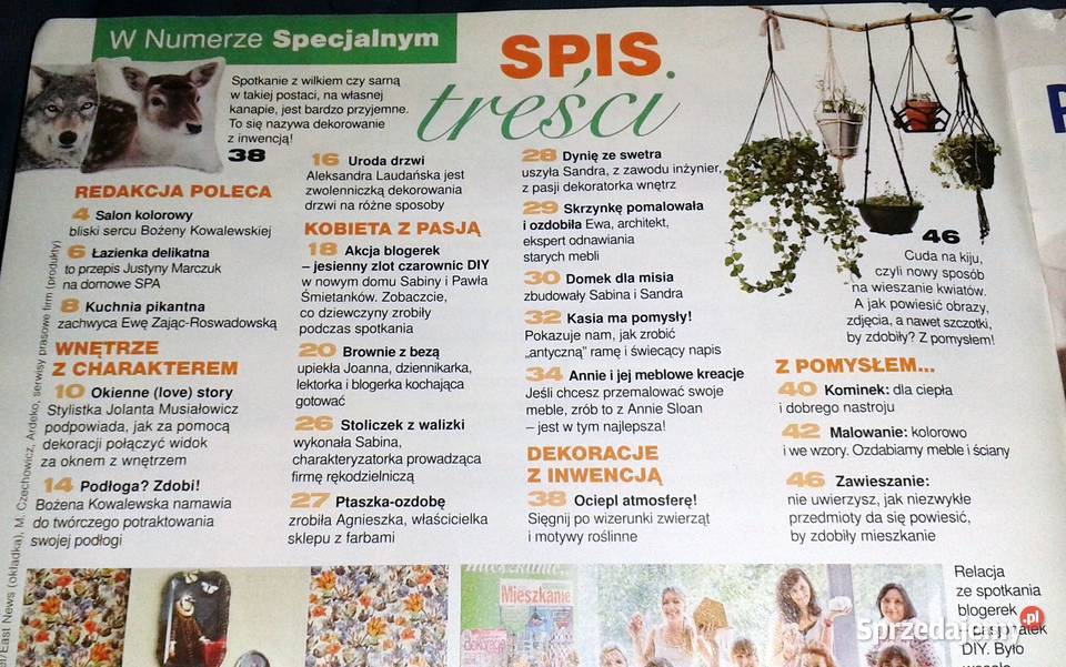 Najpiękniejsze dekoracje domu Moje mieszkanie lubelskie Chełm