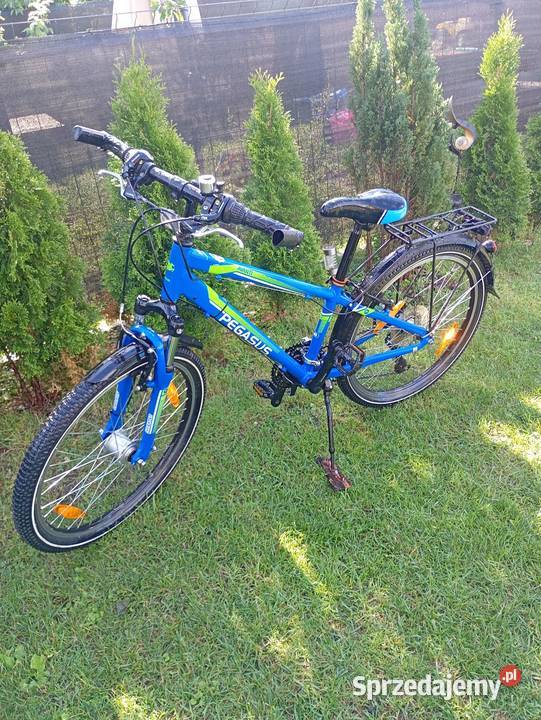Sprzedam rower pagasus koła 24 aluminiowy Szprotawa