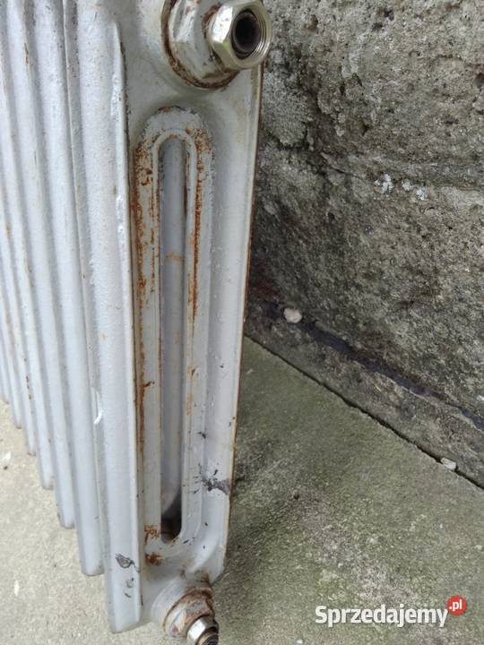 Kaloryfer 10 żeberek Bytów