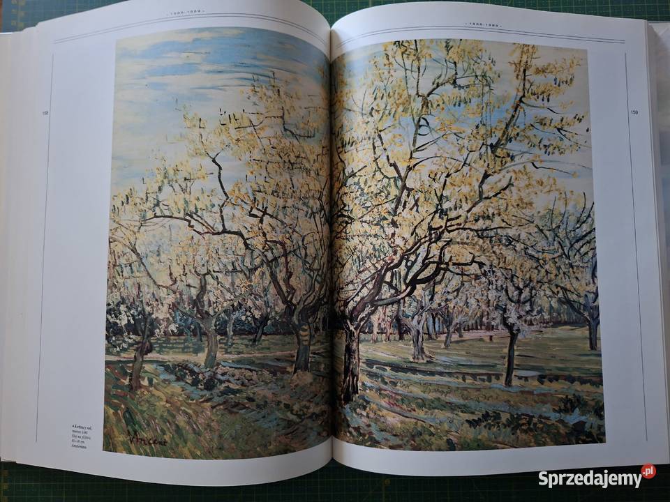 Życie i twórczość Vincent van Gogh Arkady Książki naukowe i popularnonaukowe Kraków