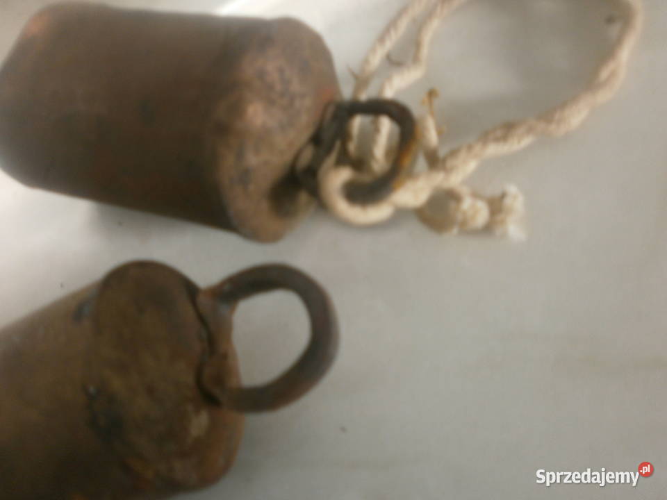 dzwonek dzwonki Zielona Góra