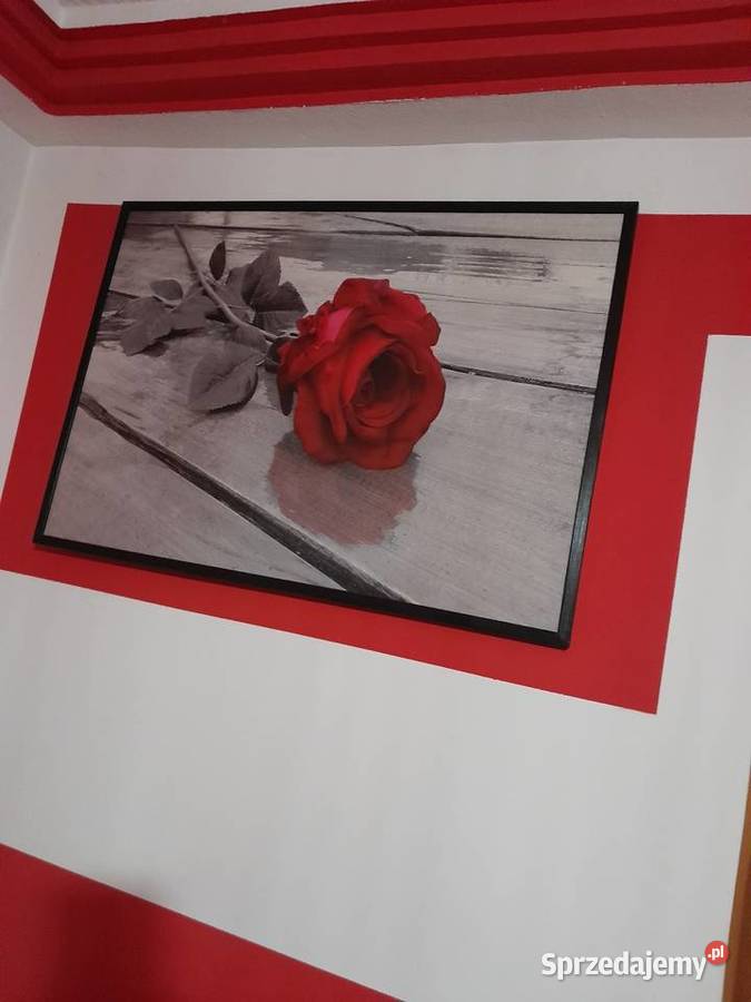 Meblościanka Szafa Witryna Stan