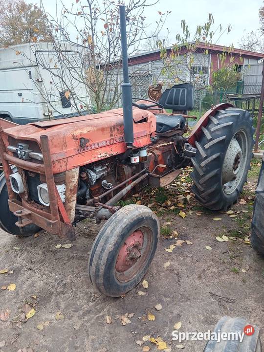 David Brown 990 Burzenin