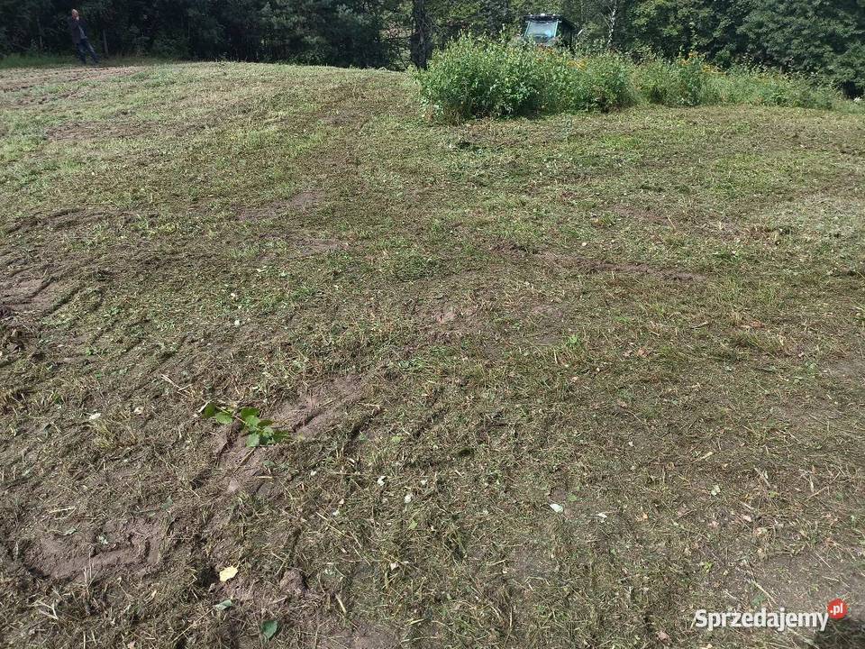 Czyszczenie działek rekultywacja terenów wycinka Sianowska Huta