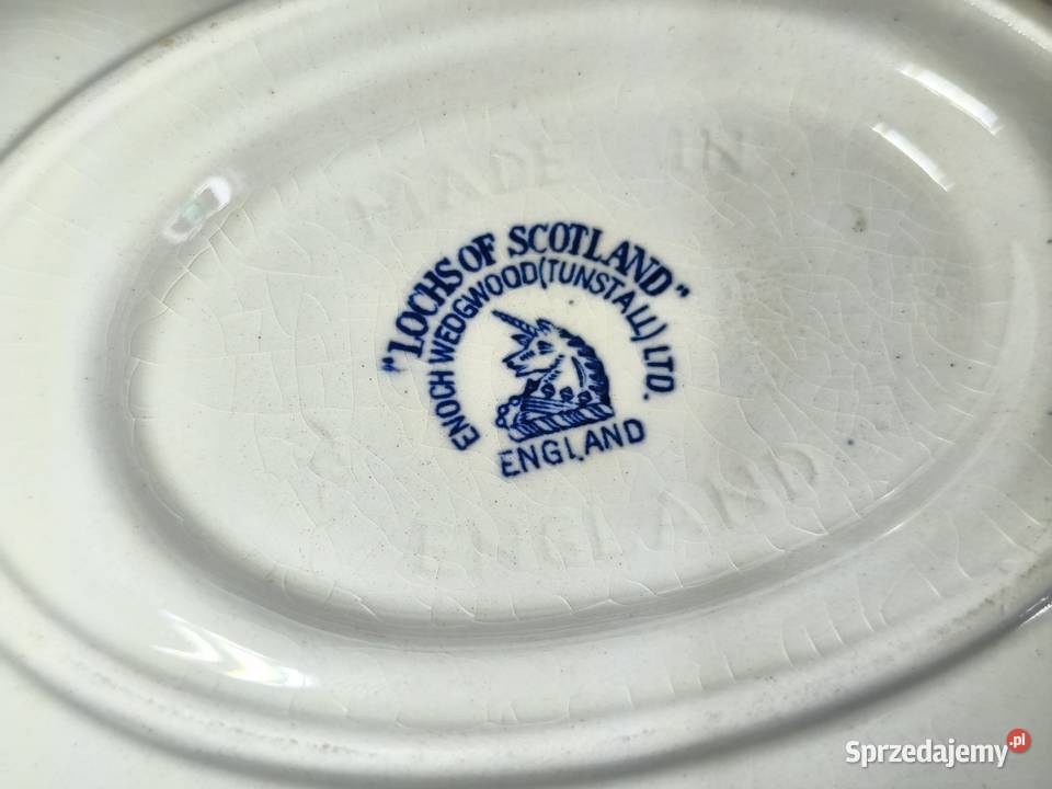 Sosjerka angielska Lochs of Scotland Chełm