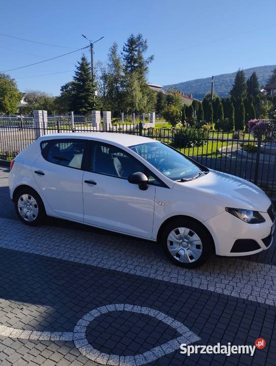 Seat Ibiza podkarpackie