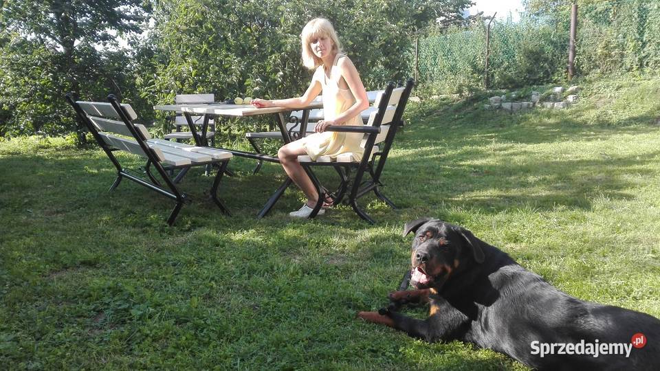 Meble ogrodowe duży mocny 8 osób super stara