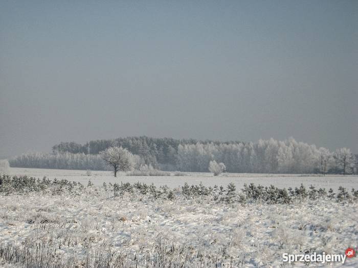 Sprzedam Dom Piasek Wielki Piasek Wielki sprzedam