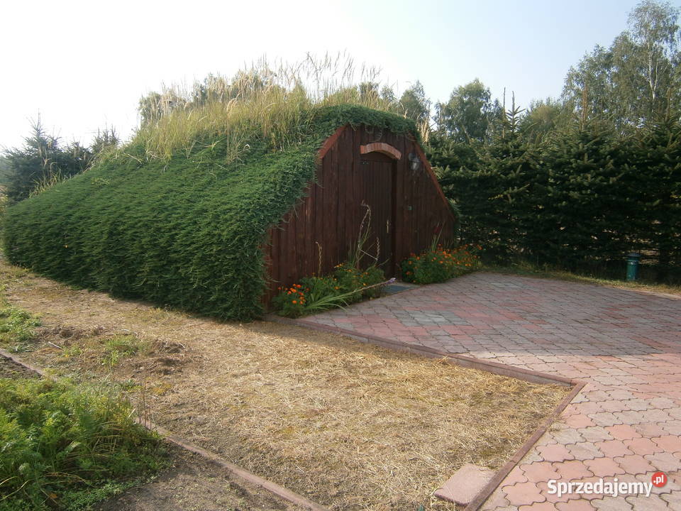 sprzedam podkarpackie