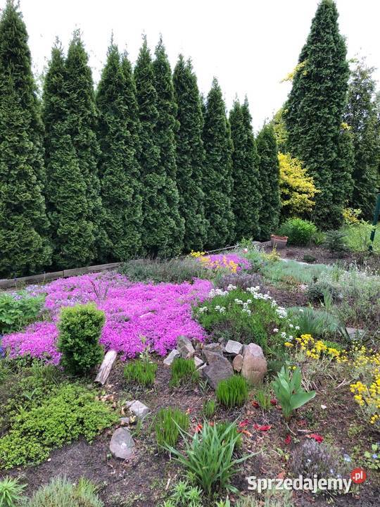 Działka ROD Cyklamen rekreacyjna Warszawa