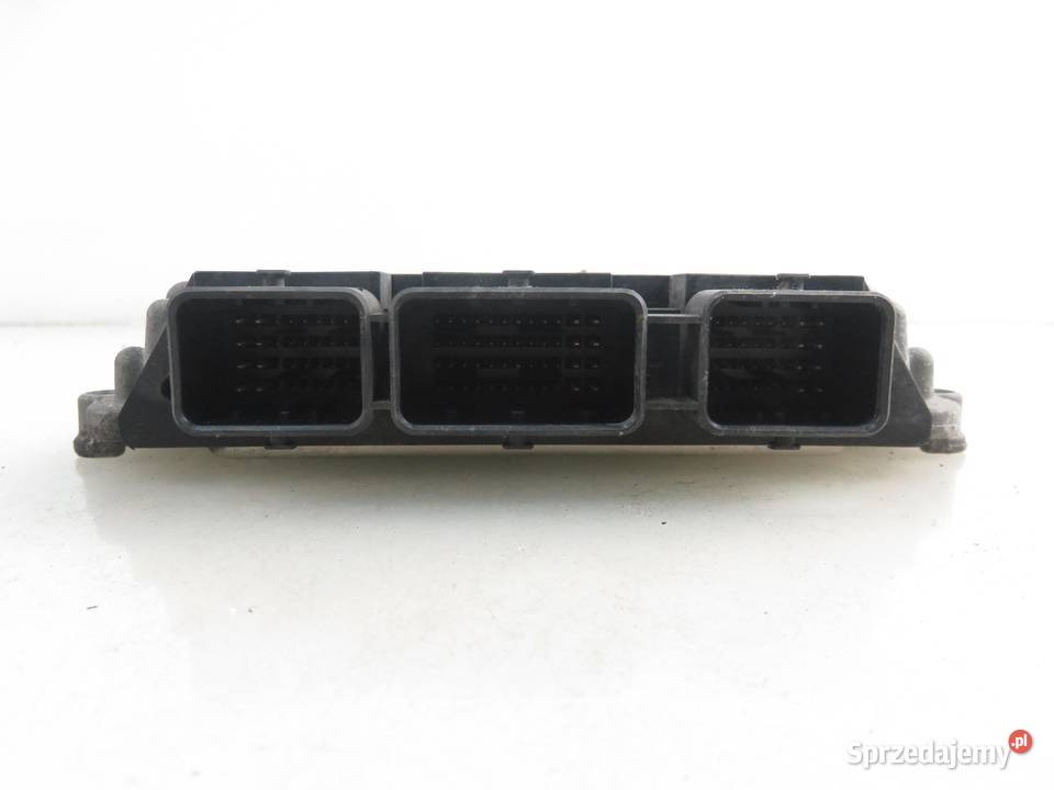 STEROWNIK PEUGEOT 206 14 HDi 8V 0281011089 osobowe